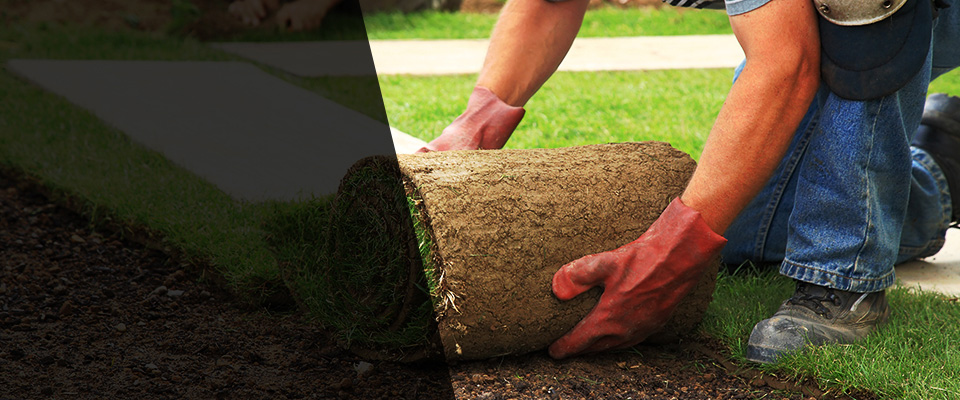 Burkburnett Landscapers